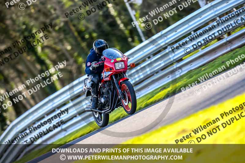 Oulton Park 20th March 2020;PJ Motorsport Photography 2020;anglesey;brands hatch;cadwell park;croft;donington park;enduro digital images;event digital images;eventdigitalimages;mallory;no limits;oulton park;peter wileman photography;racing digital images;silverstone;snetterton;trackday digital images;trackday photos;vmcc banbury run;welsh 2 day enduro